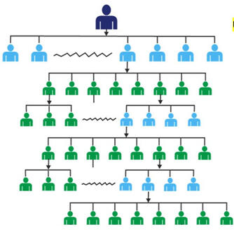 Online Conference Online Conference